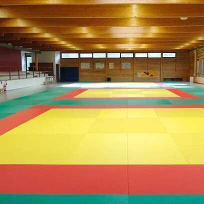 Dojo Raymond SAQUÉ