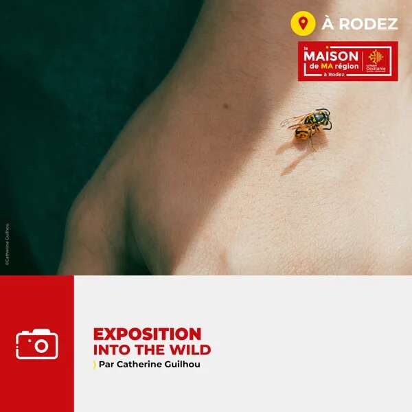 Exposition photos "Into the wild"