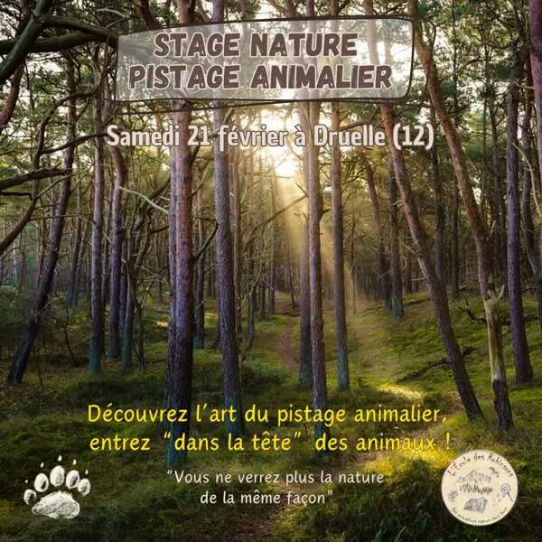 Stage Pistage Animalier (Adultes)