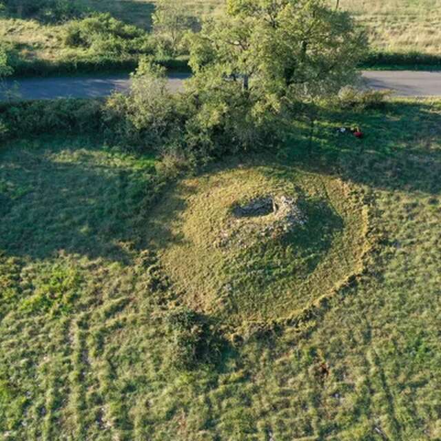 Conférence au musée Fenaille : "Des os aux individus : comment le projet Link redonne une identité aux défunts des dolmens de l'Aveyron"