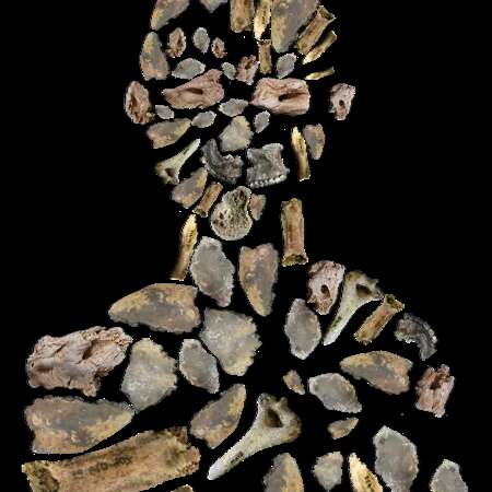 Conférence au musée Fenaille : "Des os aux individus : comment le projet Link redonne une identité aux défunts des dolmens de l'Aveyron"