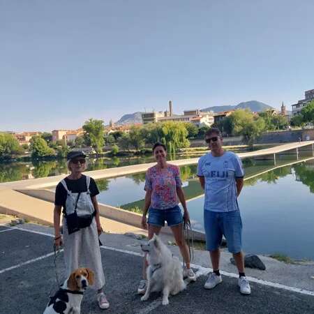 Visite Millau avec ton chien !