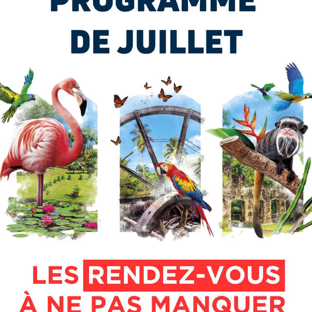 Programme de Juillet (Zoo de Martinique)