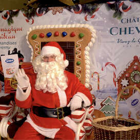 Journée spéciale Noël - Château de Cheverny