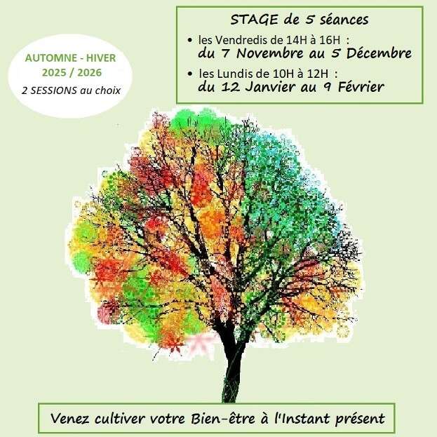 Stage : Sophrologie et Pleine Conscience