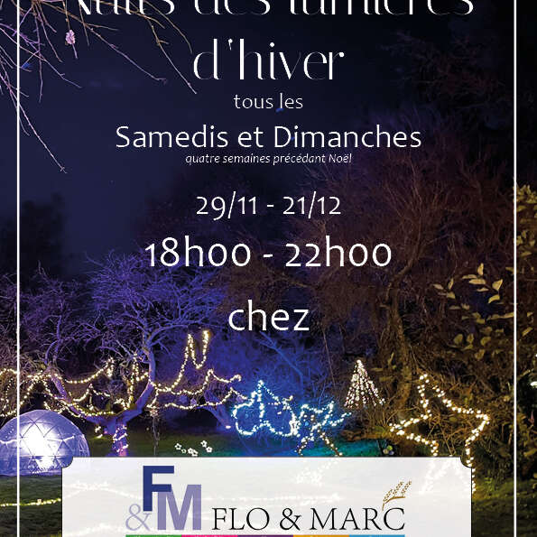 Nuits des lumières d'hiver