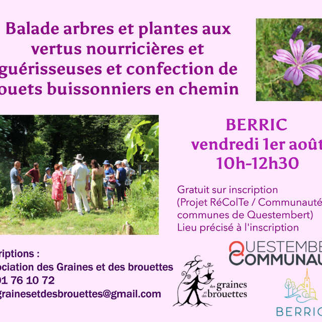 Balade atelier plantes comestibles