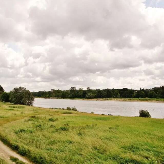 Rando : Le bois de la Borne-Blanche de Veuzain-sur-Loire
