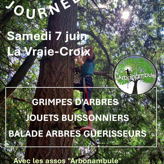 Journée découverte de l'arbre