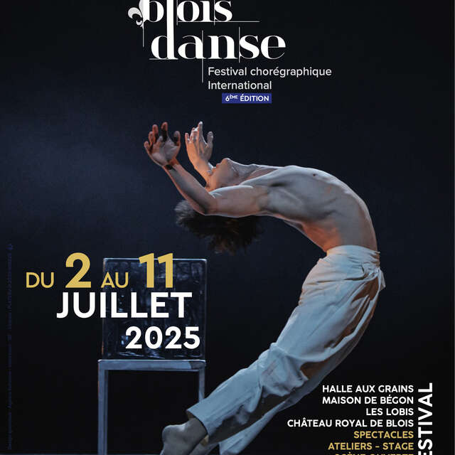 Festival Blois Danse - 6ème édition