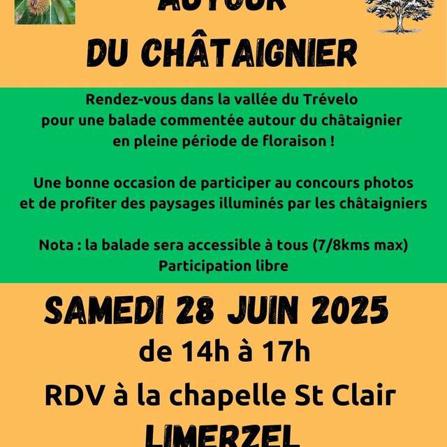 Balade découverte autour du châtaignier