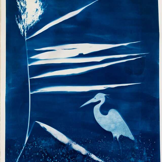 Atelier cyanotype