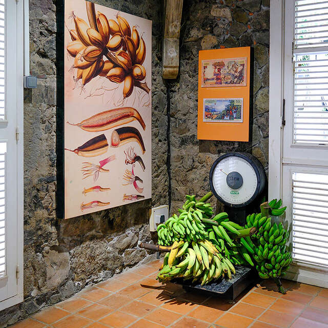 Musée de la Banane