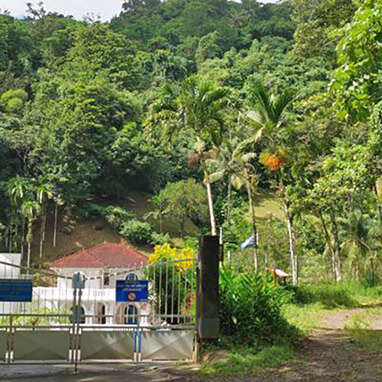 Absalon - Fontaine Didier