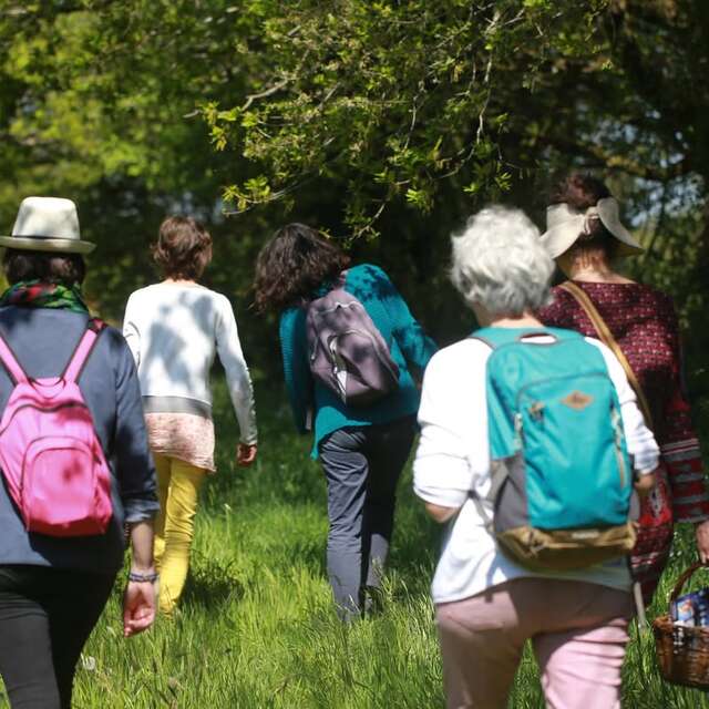 "Mardis de Pays" Balade plantes comestibles