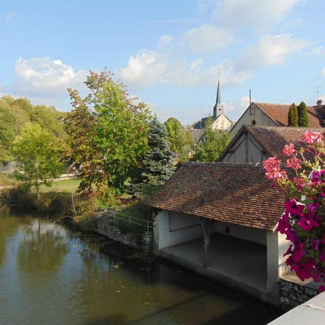 Les étangs de la Ferté-Saint-Cyr