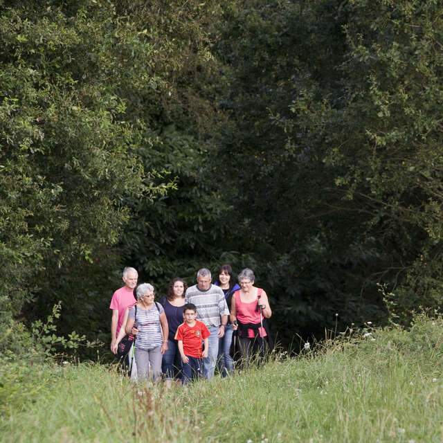 La Neuromouv' marche solidaire