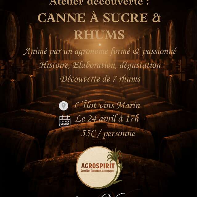 Atelier Canne à sucre & rhums ( L'îlot Vins )