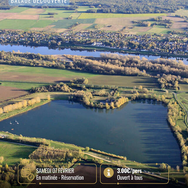 Découverte du Domino, mois des zones humides