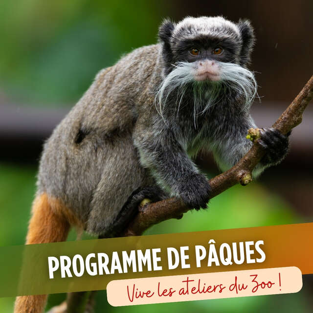 Programme de Pâques (Zoo de Martinique)