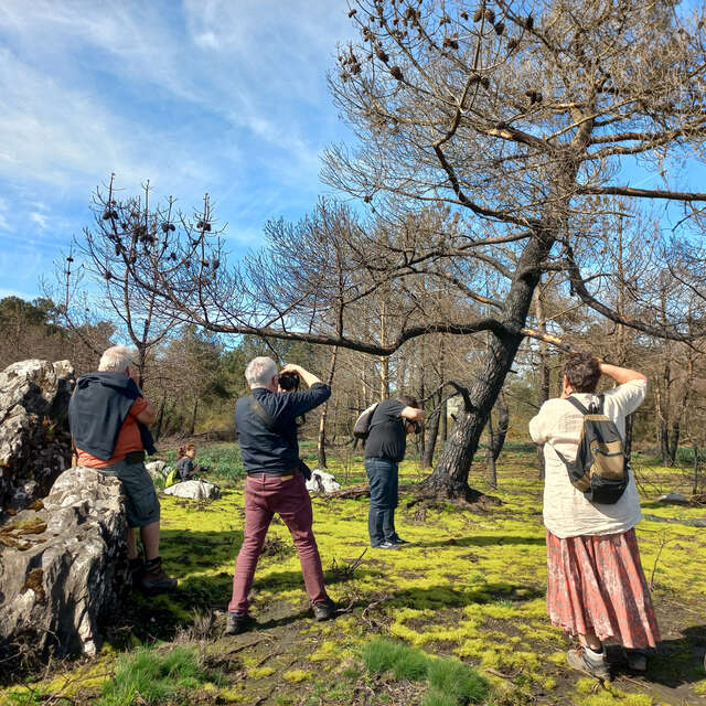 "Mardis de Pays" Promenade photographique avec Lou Camino
