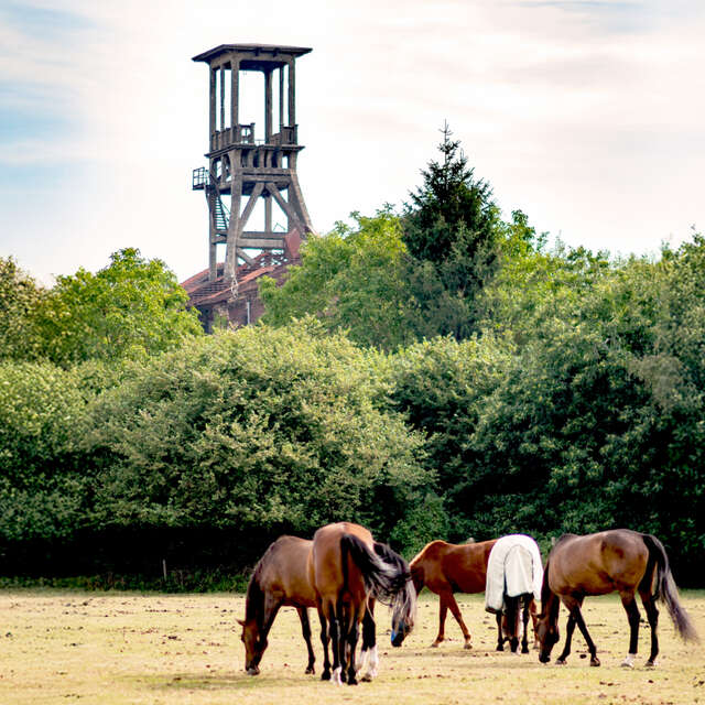 Visite autour du chevalement d’Anhiers - Journées Européennes du Patrimoine