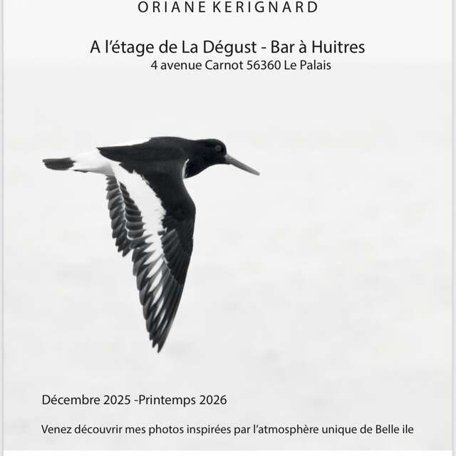Exposition Oriane Kerignard "Belle Ile Autrement"