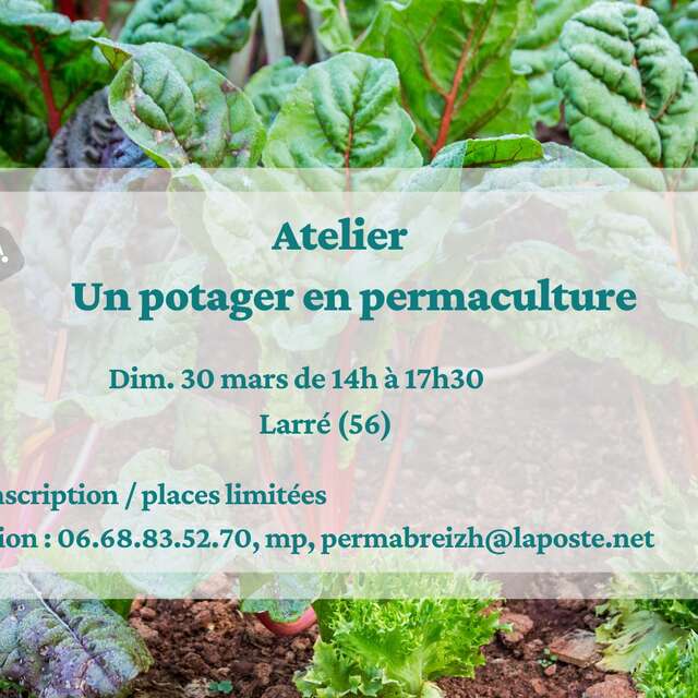 Atelier potager en permaculture