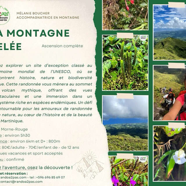 Randonnée La Montagne Pelée - Ascension complète (Rando A2Pas)