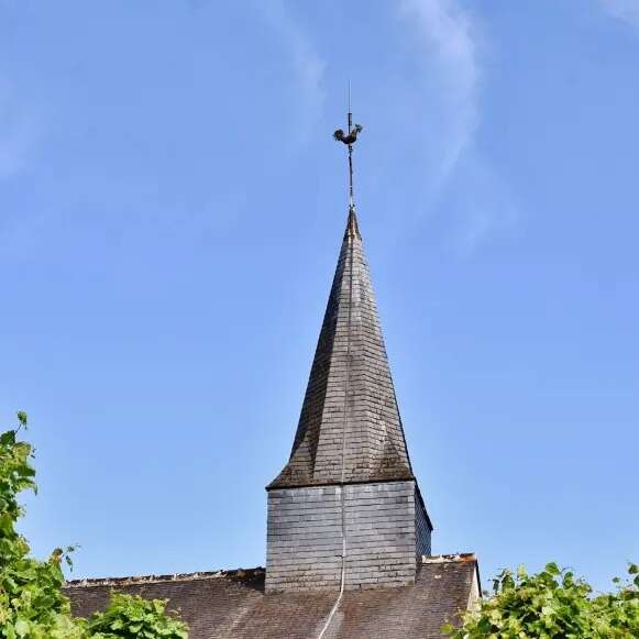 Rando Monthou-sur-Bièvre - Les vignobles