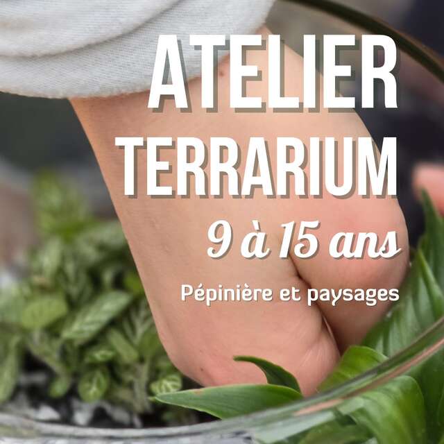 Atelier Terrarium (9 à 15 ans)