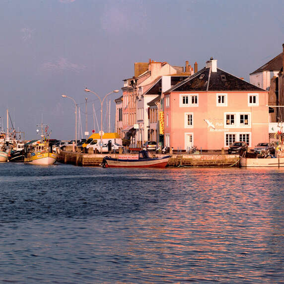 Le Goéland