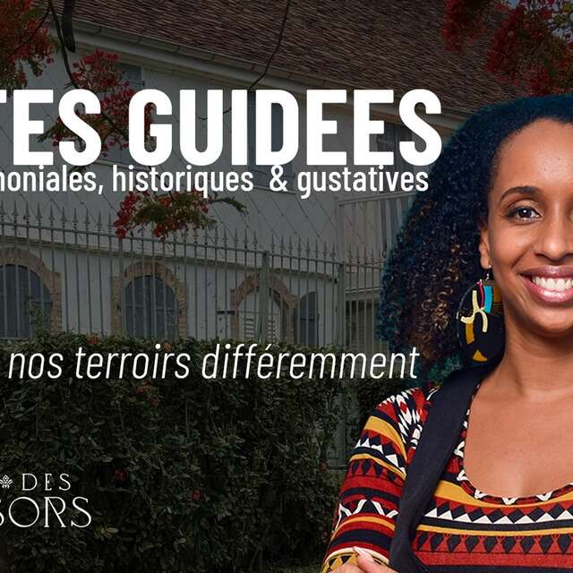 Visites guidées (Rhumerie Baie des Trésors)