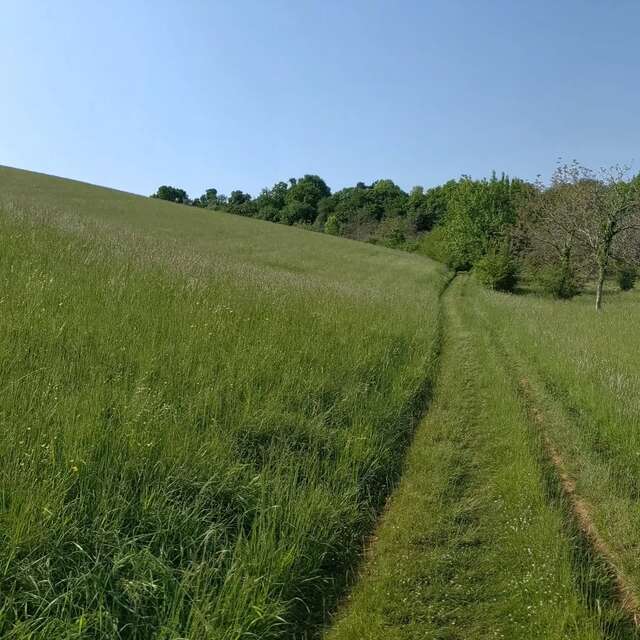 Gravel Est Découverte