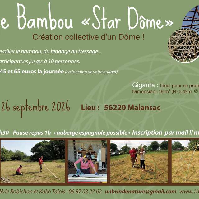 Stage bambou Star Dôme