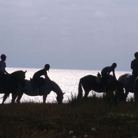 La Ferme du Poney Bleu, Équitation