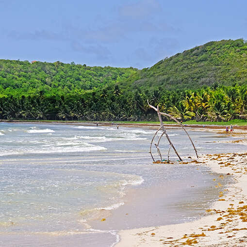 La boucle des mornes