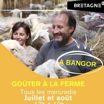 Goûter à la ferme