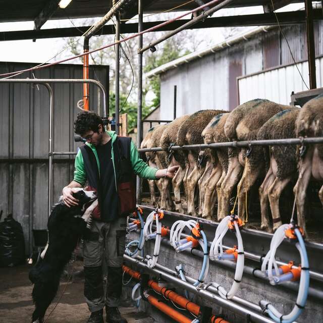 Visites Ferme bio des Folaisons