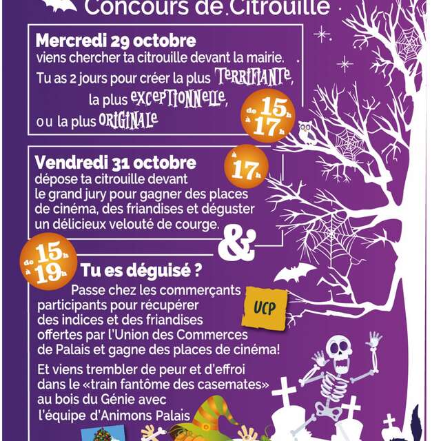 Concours tête de citrouille