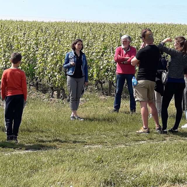 Immersion vigneronne : Entre Terroirs et Cépages