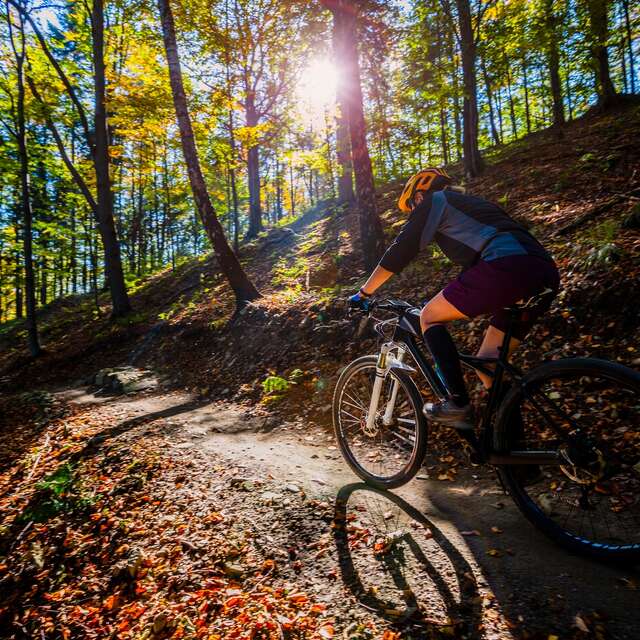 Circuit de Vieux-Barse