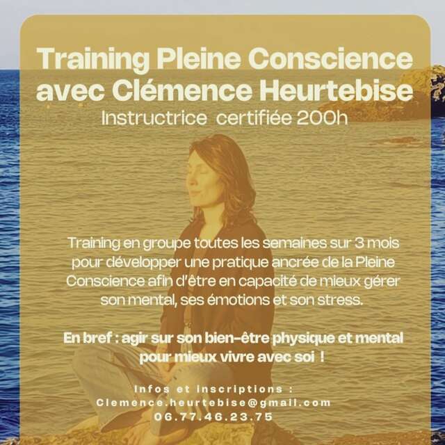Training Pleine Conscience-Gérer son mental, ses émotions et son stress.