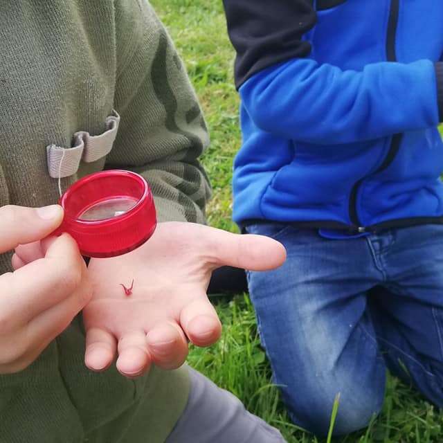 Animation nature "Ecoutons et regardons qui vit au jardin"