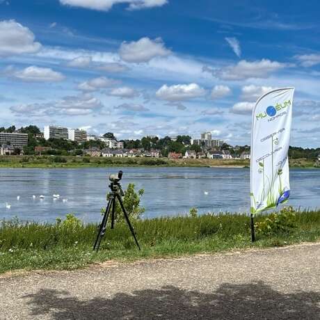 Muséum nomade et Loire à vélo