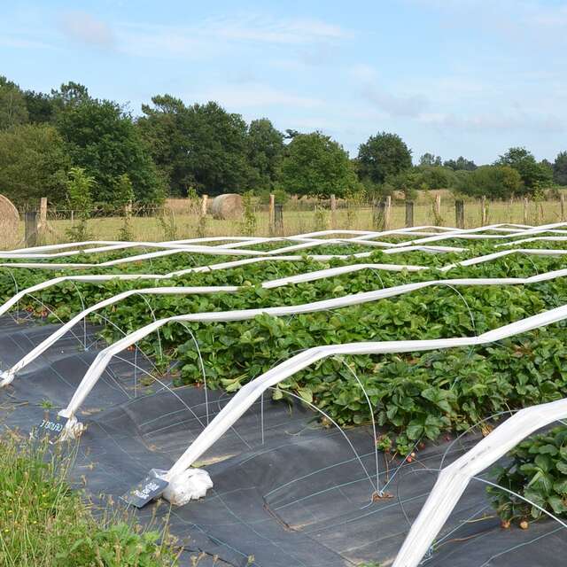 Visites Verger de Mon Voisin, ferme fruitière biologique