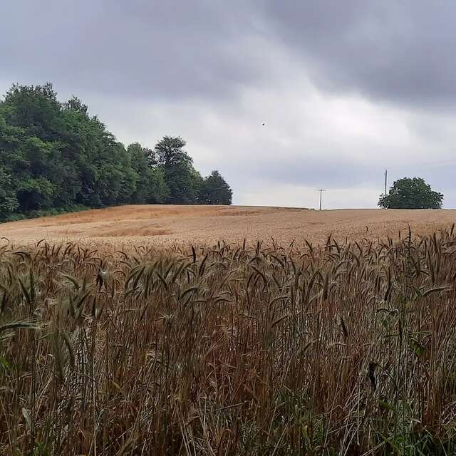 Gravel Nord Découverte