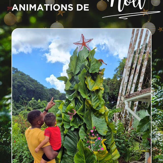 Programme de Décembre (Le jardin de Balata)