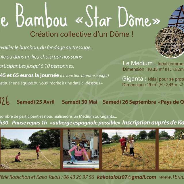 Stage bambou Star Dôme