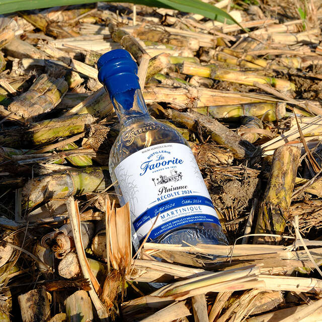 Rhums Distillerie La Favorite